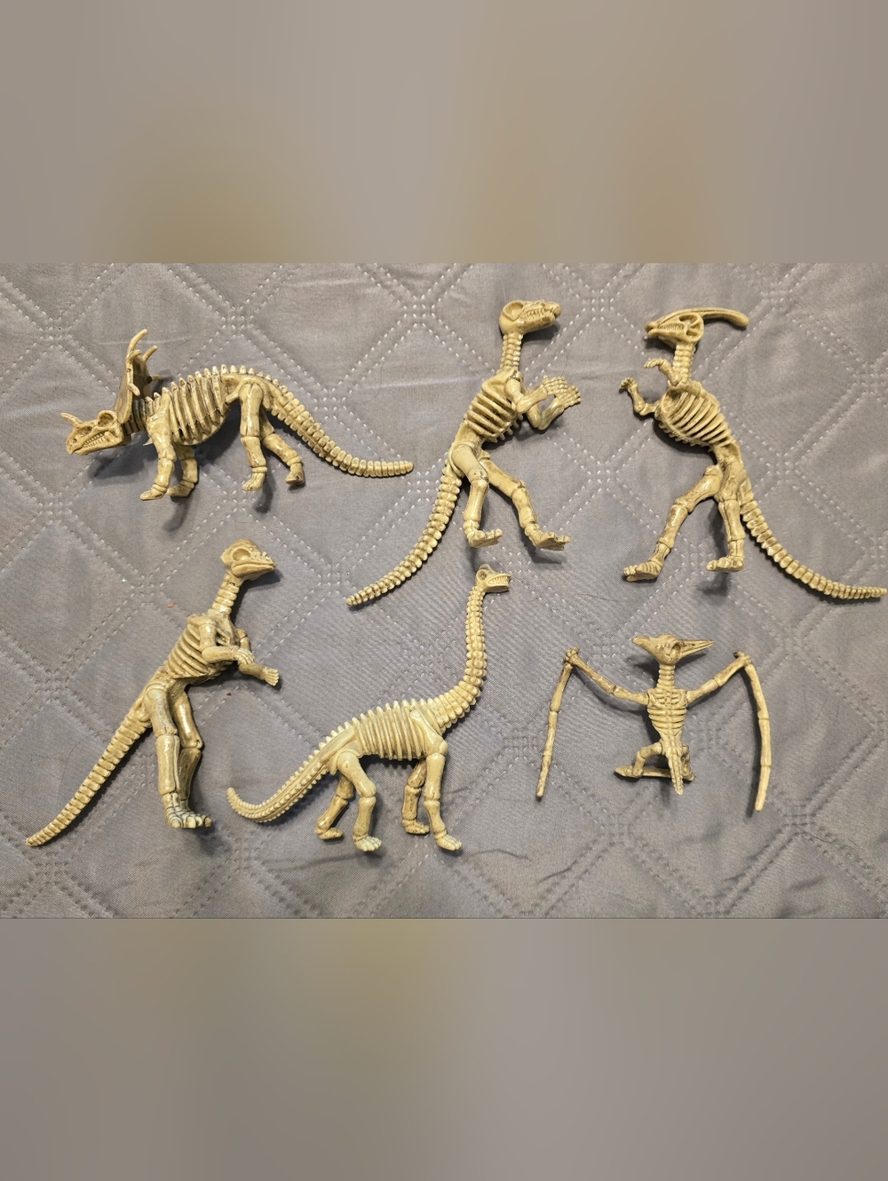 Collection Of 6 Dinosaur Dig Fossil Skeleton Figures